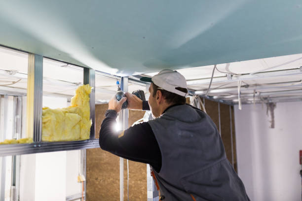 Best Fiberglass Insulation in Godley, TX