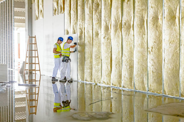 Best Specialized Insulation Services in Godley, TX